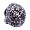 Bloodshot 18cm Skulls Roll Back Offer