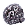 Bloodshot 18cm Skulls Gifts Under £100