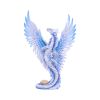 Adult Silver Dragon (AS) 31.5cm Dragons Stock Arrivals