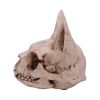 Bastet's Secret 15cm Animal Skulls Statues Medium (15cm to 30cm)