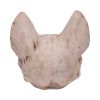 Bastet's Secret 15cm Animal Skulls Out Of Stock