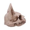 Bastet's Secret 15cm Animal Skulls Out Of Stock