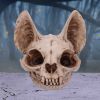 Bastet's Secret 15cm Animal Skulls Out Of Stock