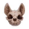 Bastet's Secret 15cm Animal Skulls Out Of Stock