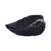 Edgar's Raven Trinket Holder 17cm Ravens Back in Stock