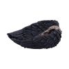 Edgar's Raven Trinket Holder 17cm Ravens Top 200 None Licensed