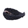 Edgar's Raven Trinket Holder 17cm Ravens Top 200 None Licensed