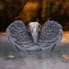 Edgar's Raven Trinket Holder 17cm Ravens Top 200 None Licensed