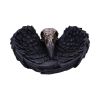 Edgar's Raven Trinket Holder 17cm Ravens Top 200 None Licensed