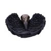 Edgar's Raven Trinket Holder 17cm Ravens Back in Stock