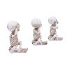 Three Wise Skellywags 13cm (Set of 3) Skeletons Statues Small (Under 15cm)