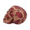 The Hoard 17cm Skulls Statues Medium (15cm to 30cm)