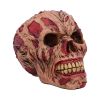 The Hoard 17cm Skulls Statues Medium (15cm to 30cm)