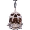 Tapped 24cm Skulls Statues Medium (15cm to 30cm)