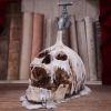 Tapped 24cm Skulls Statues Medium (15cm to 30cm)