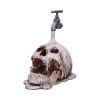 Tapped 24cm Skulls Statues Medium (15cm to 30cm)