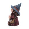 Toil 9.7cm Witches Gifts Under £100