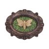 Moth Macabre 22.3cm Animals Roll Back Offer