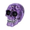 Purple Romance (Medium) 11cm (Pack of 6) Skulls Gifts Under £100