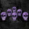 Purple Romance (Medium) 11cm (Pack of 6) Skulls Gifts Under £100