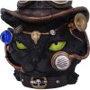 Felius Mogg 28.8cm Cats Gifts Under £100