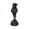 Rivet Raven 24cm Ravens Back in Stock