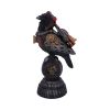 Rivet Raven 24cm Ravens Back in Stock