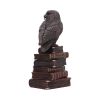 Spellcraft 14cm Owls Premium Owls