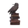 Spellcraft 14cm Owls Gifts Under £100