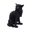 Salem (Small) 19.6cm Cats Gifts Under £100