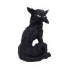 Salem (Small) 19.6cm Cats Gifts Under £100