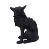 Salem (Small) 19.6cm Cats Gifts Under £100