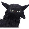 Salem (Small) 19.6cm Cats Gifts Under £100