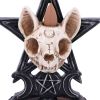 Familiar Worship Backflow Incense Burner 15.3cm Animal Skulls Sale Items