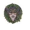 Fern 20cm Tree Spirits Winter 2024