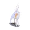 Evelyn 32.5cm Fairies Stock Arrivals