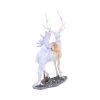 Evelyn 32.5cm Fairies Stock Arrivals