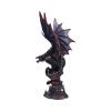 Cathoron's Call 49cm Dragons Winter 2024