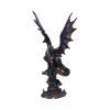 Cathoron's Call 49cm Dragons Winter 2024