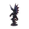 Cathoron's Call 49cm Dragons Winter 2024