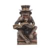 Chimpanzee Scholar 19.5cm Apes & Primates Stock Arrivals