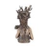 Gaia Bust 26cm History and Mythology Gifts Under £100