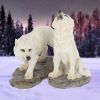 Before the Chase (Set of 2) 9.8cm Wolves Gifts Under £100