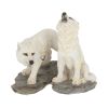 Before the Chase (Set of 2) 9.8cm Wolves Back in Stock