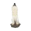 Storms Cry 20cm Wolves Stock Arrivals