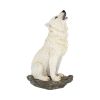 Storms Cry 20cm Wolves Stock Arrivals