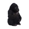 Gone Wild 15.5cm Apes & Primates Gifts Under £100
