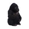 Gone Wild 15.5cm Apes & Primates Stock Arrivals