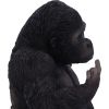 Gone Wild 15.5cm Apes & Primates Stock Arrivals