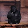 Gone Wild 15.5cm Apes & Primates Stock Arrivals